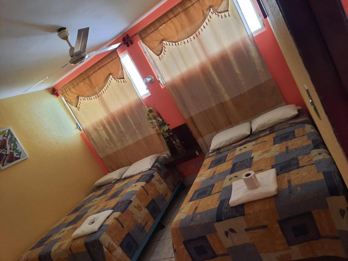Green Monkey Hostel Флорес Екстериор снимка
