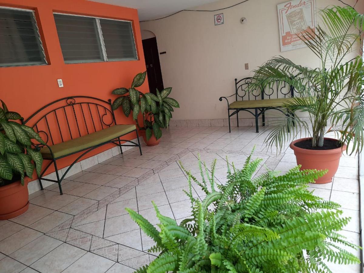 Green Monkey Hostel Флорес Екстериор снимка